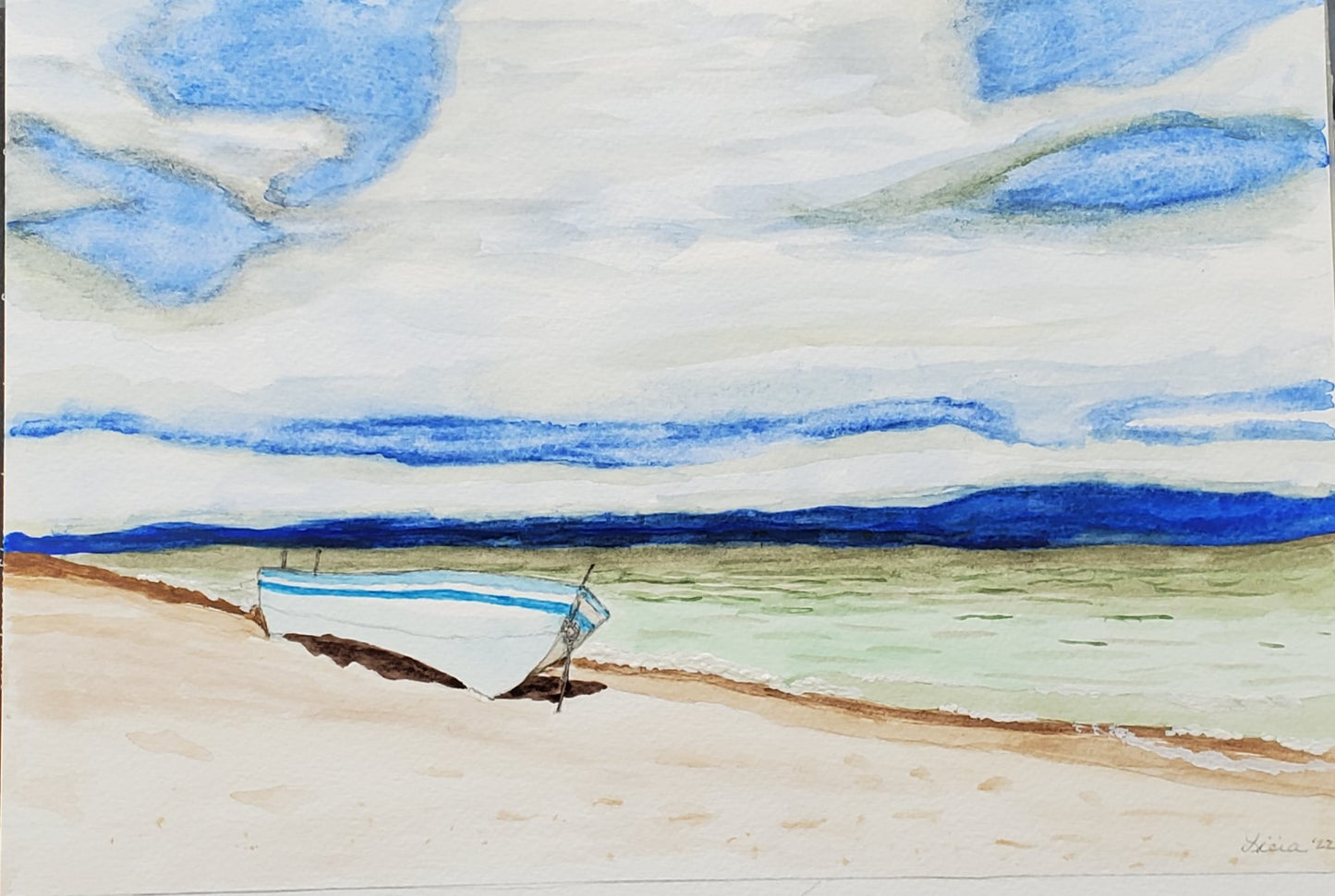 White and Blue Boat on Beach