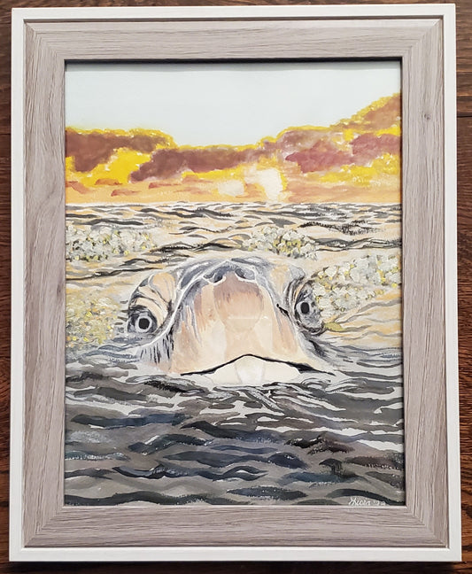 Peaking Sea Turtle - Framed, Signed Original