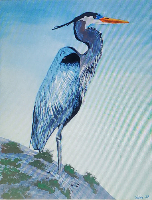 Blue Heron Giclee Print of a Watercolor Painting