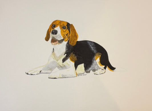 Buddy the Beagle