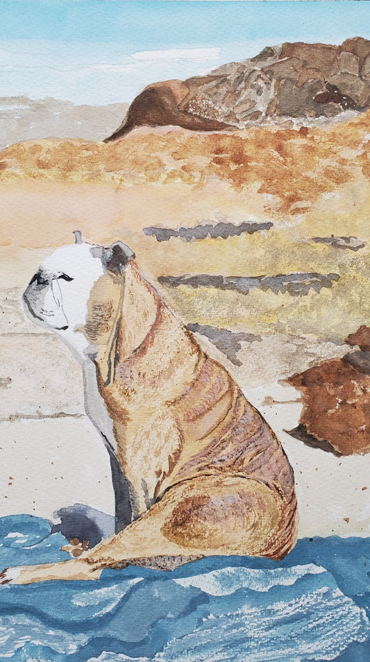 Memorium of Rosie the Dog on a Blanket on the Beach