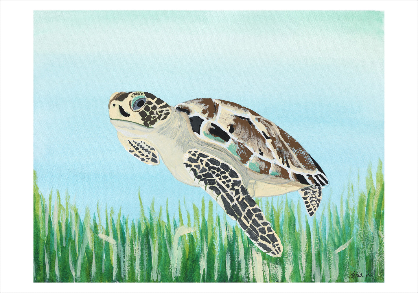 Sea Turtle Giclee Print of a Watercolor Painting