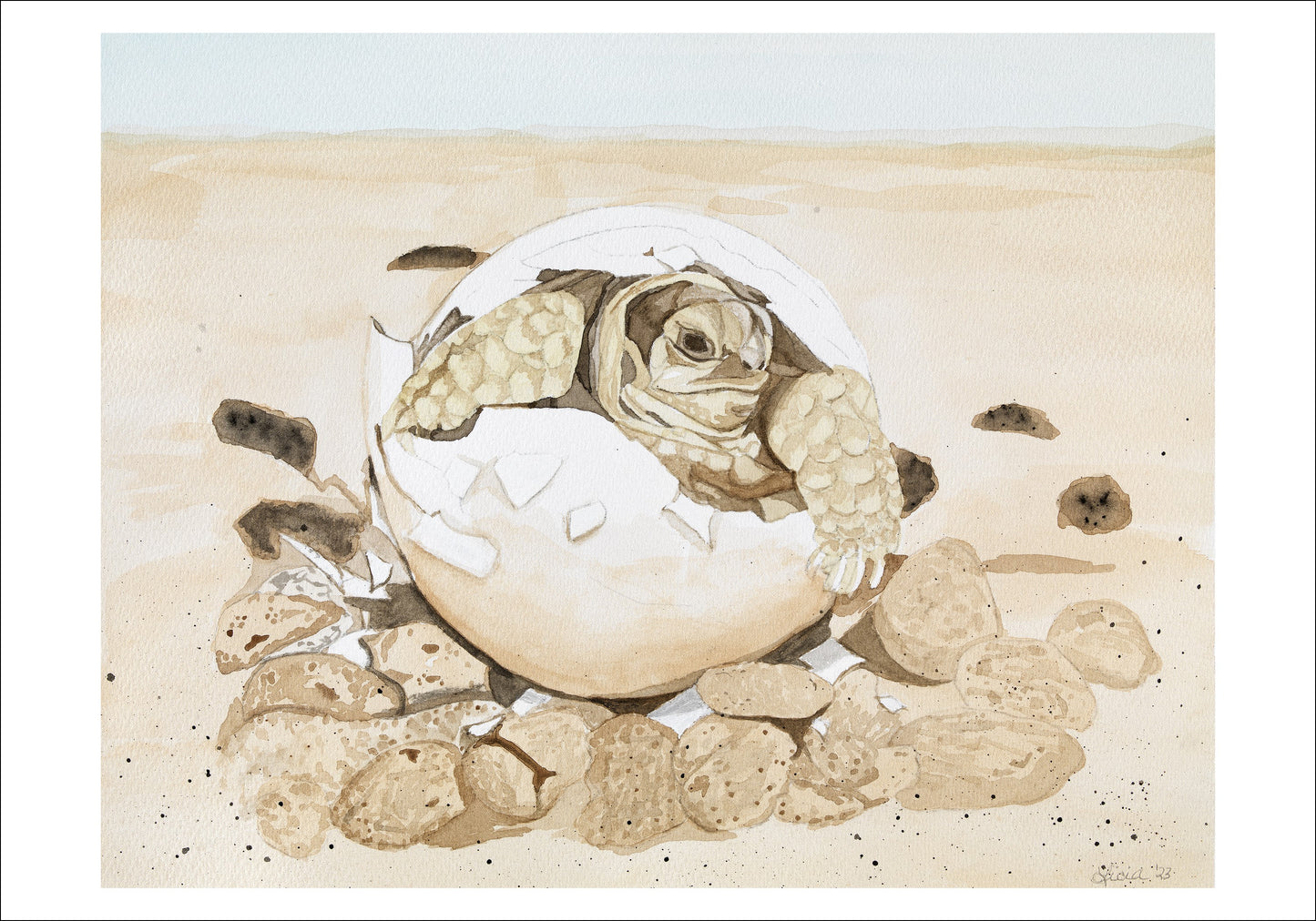 Sea Turtle Hatchling Giclee Print of a Watercolor Painting