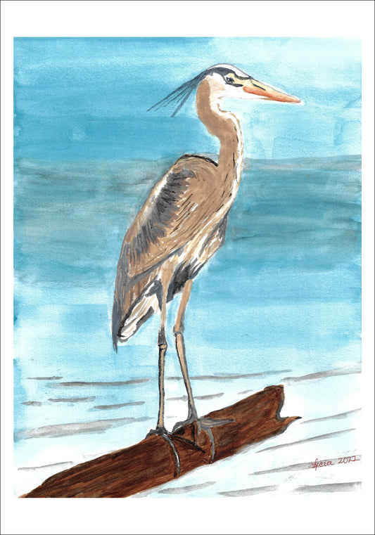 Brown and Gray Heron Giclee Print of a Watercolor Painting